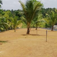 WhatsApp Image 2026-04-24 at 13.51.49 (6)